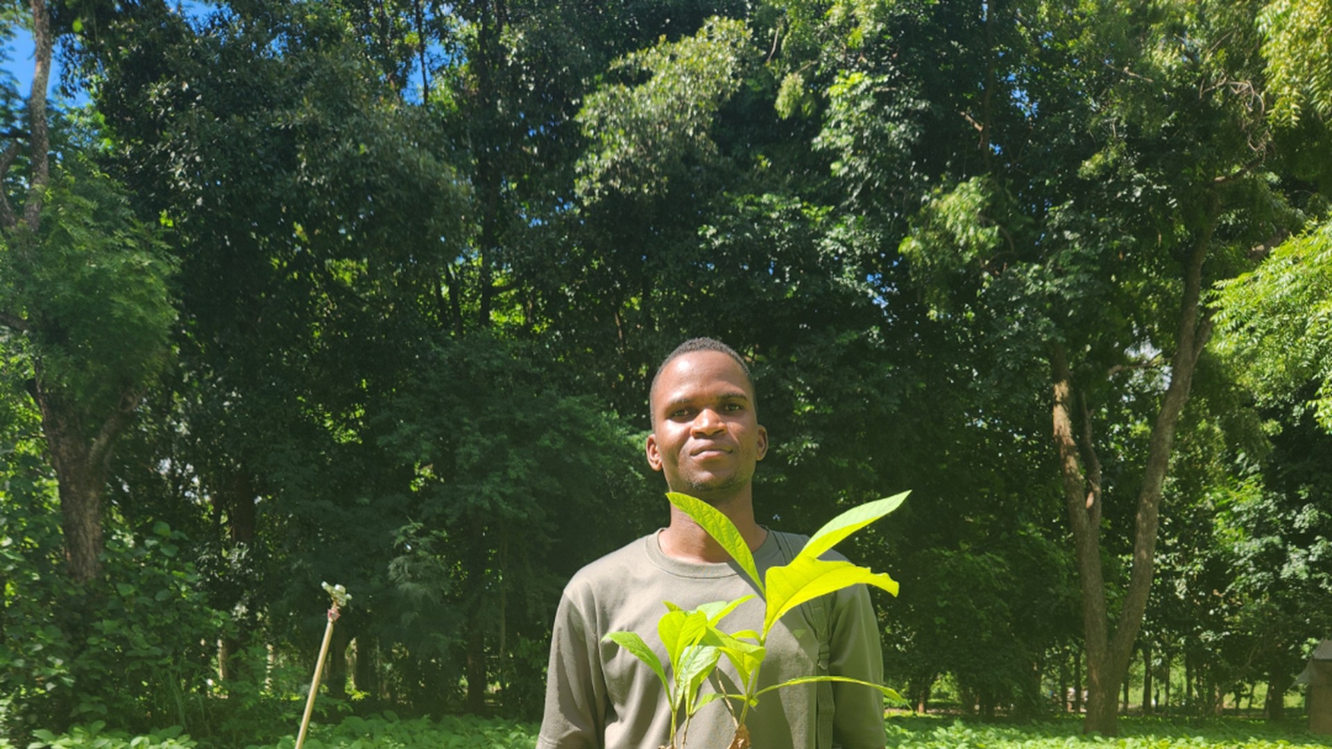 A community member holding a tree seedling at a nursery in Tanzania — CONNECT habitat restoration programme