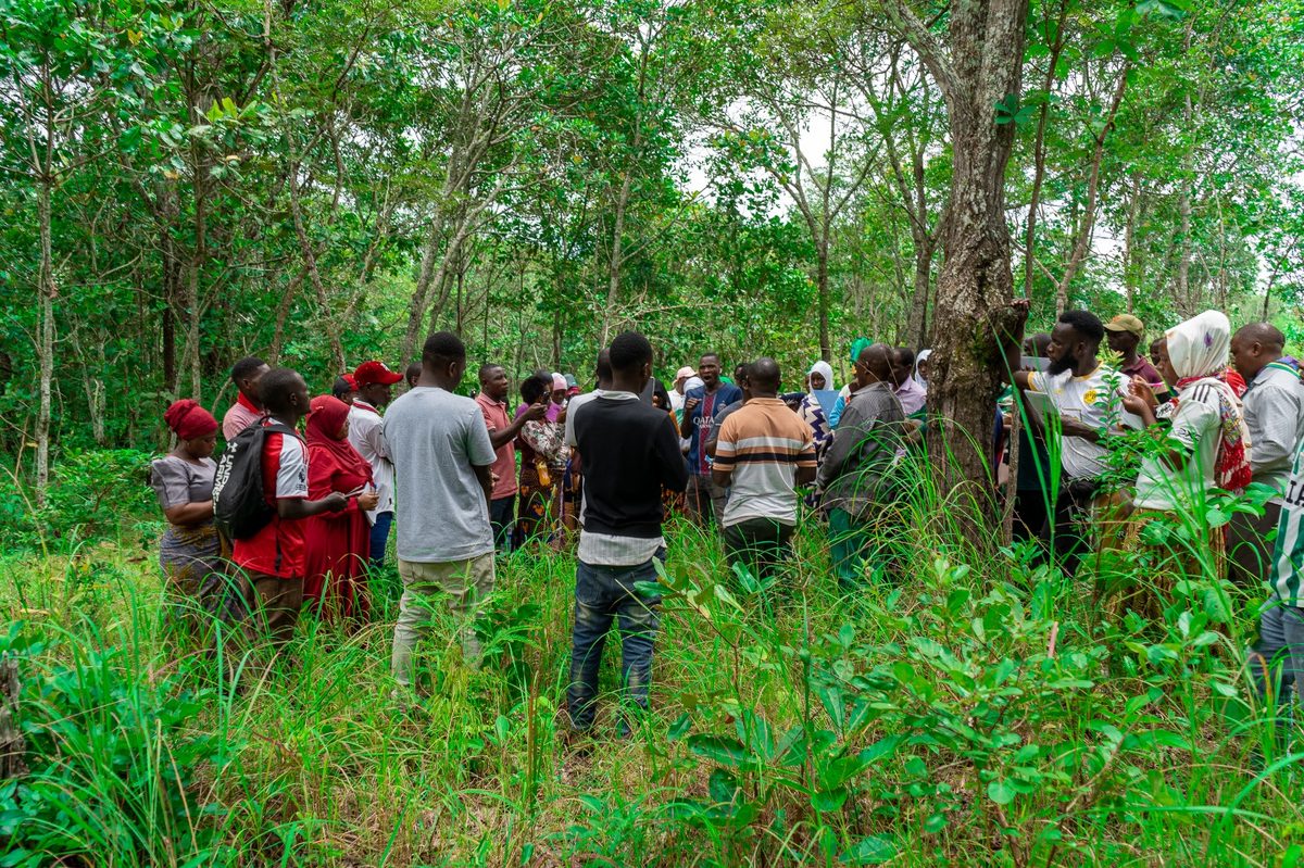 Community members meeting in the forest during a CONNECT Tanzania training